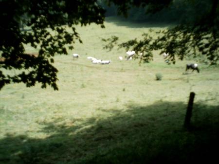 la vall�e du mont des cats